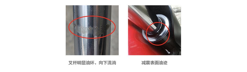 1600315345936928IYGP.jpg 13.jpg